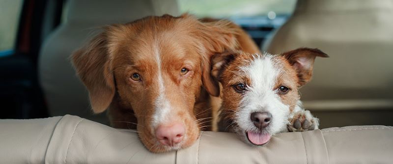 eastpoint mall parking fees